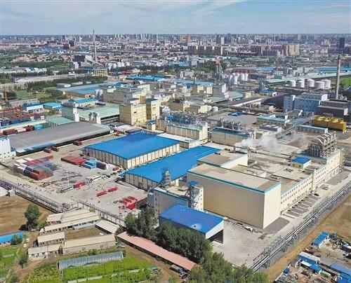 小玉米有大追求|嘉吉|松原|吉林|聯(lián)合國(guó)世界糧食計(jì)劃署|玉米