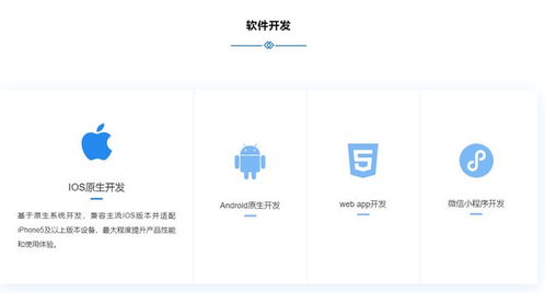石家莊節能軟件開發