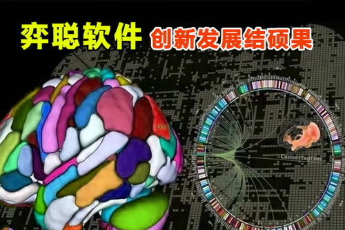 弈聰軟件科研創(chuàng)新結(jié)碩果,50多項專利授權(quán)技術(shù)催生發(fā)展動能